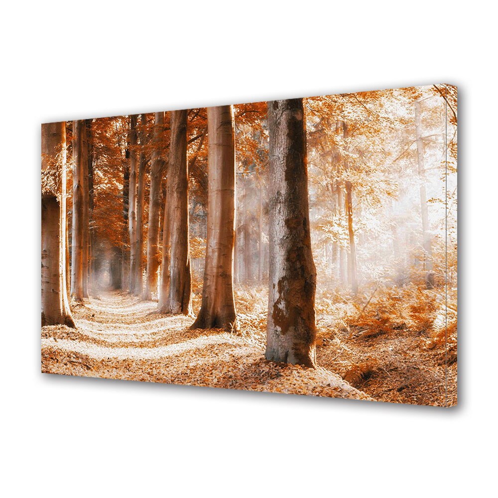 Tablou Canvas Luminos in intuneric VarioView LED, Toamna, Copaci aliniati, 40 x 60 cm