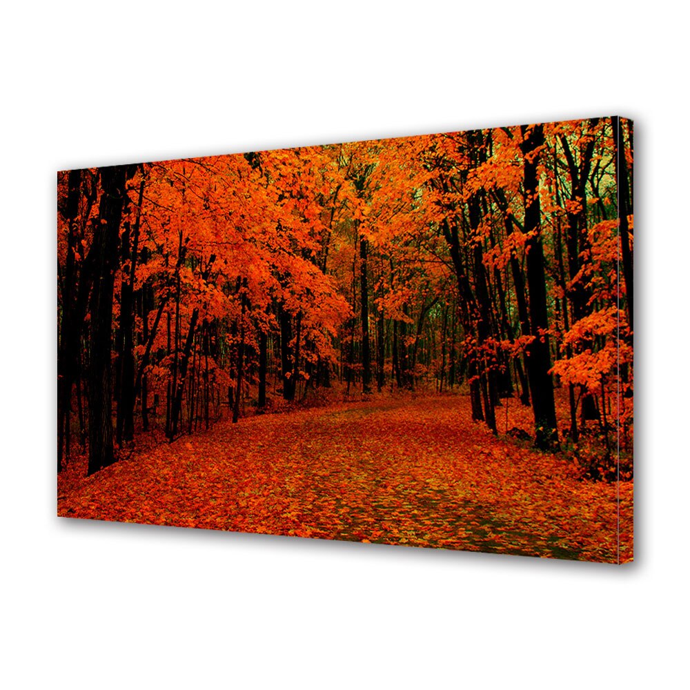 Tablou Canvas Luminos in intuneric VarioView LED, Toamna, Toamna in rosu si negru, 30 x 45 cm