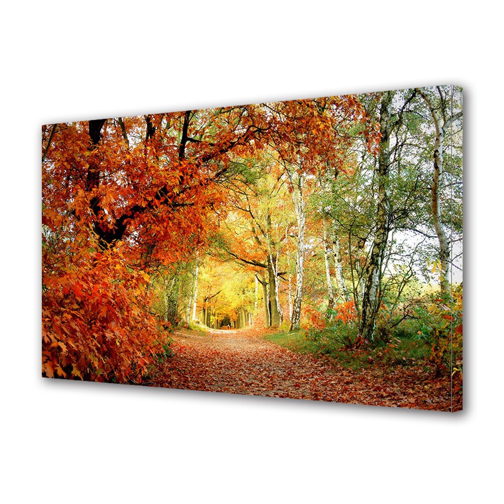 Tablou Canvas Luminos in intuneric VarioView LED, Toamna, De la rosu spre galben, 30 x 45 cm