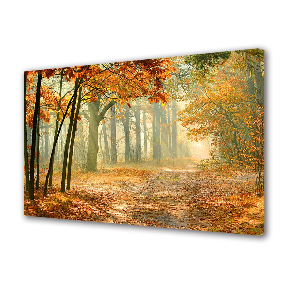 Tablou Canvas Luminos in intuneric VarioView LED, Toamna, Raze aurii pe poteca, 40 x 60 cm