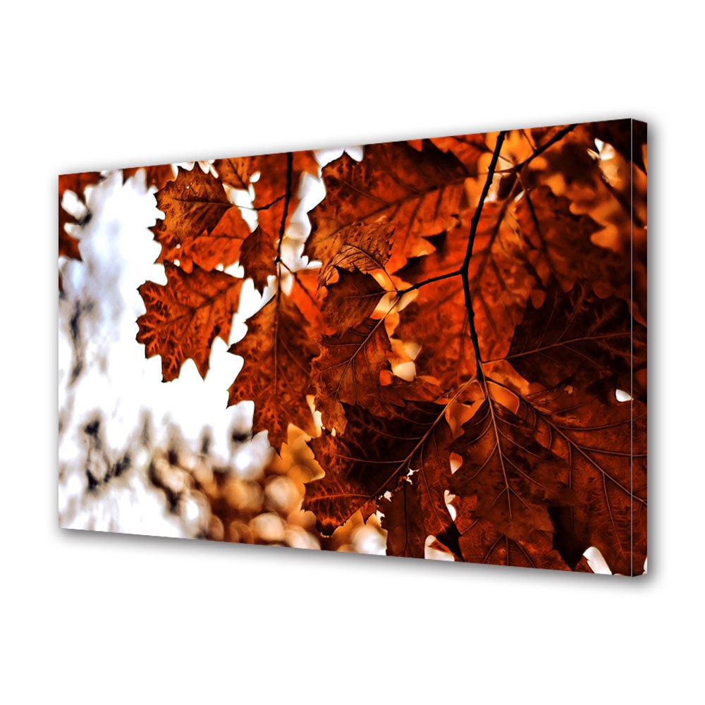 Tablou Canvas Luminos in intuneric VarioView LED, Toamna, Aramiu, 40 x 60 cm