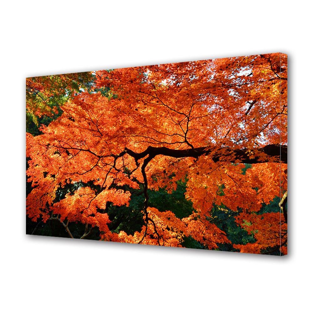 Tablou Canvas Luminos in intuneric VarioView LED, Toamna, Ramura cu frunze rosii, 30 x 45 cm