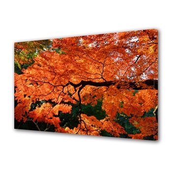 Tablou Canvas Luminos in intuneric VarioView LED, Toamna, Ramura cu frunze rosii, 30 x 45 cm Tablou Canvas Luminos in intuneric VarioView LED, Toamna, Ramura cu frunze rosii, 30 x 45 cm