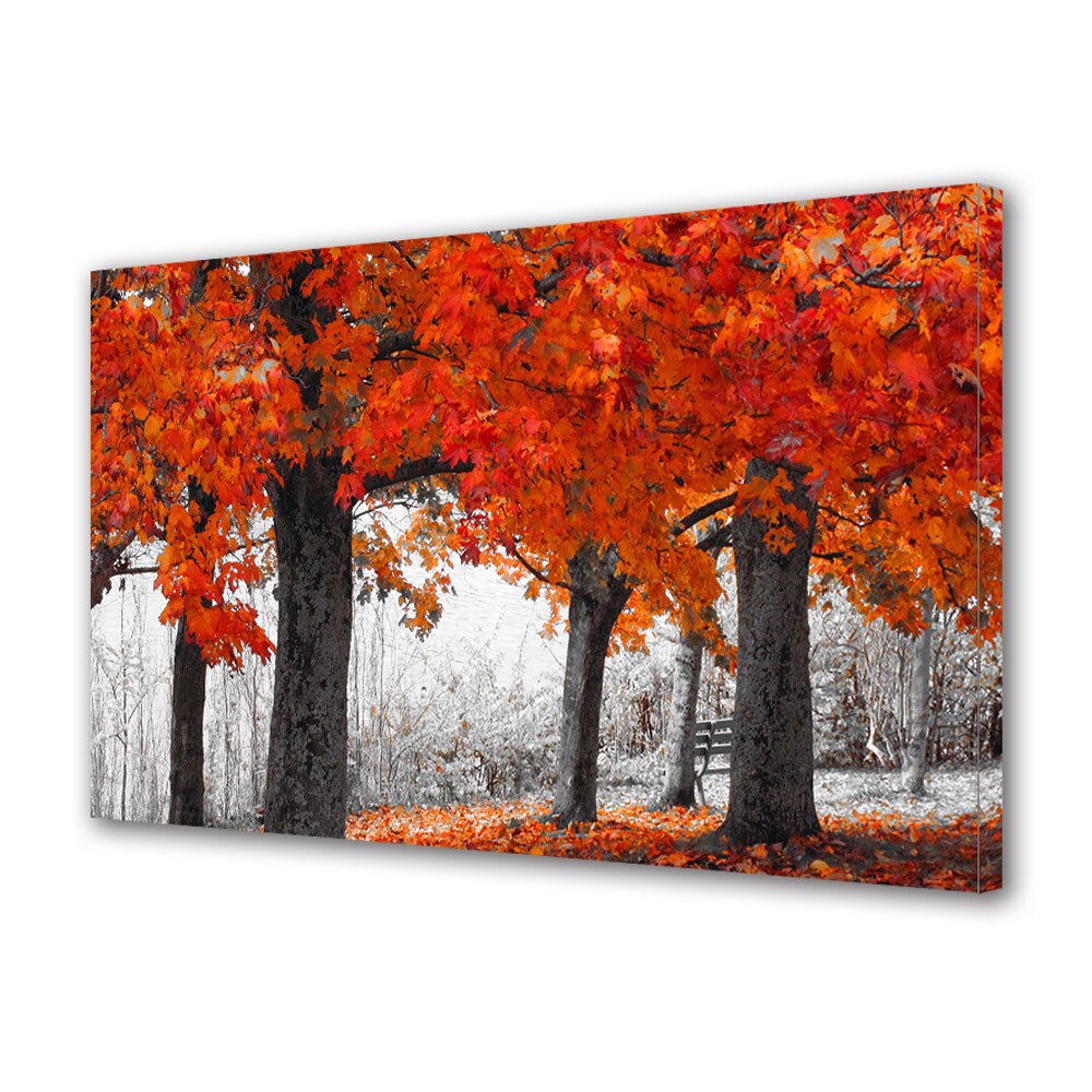 Tablou Canvas Luminos in intuneric VarioView LED, Toamna, Copaci albi si rosii, 40 x 60 cm