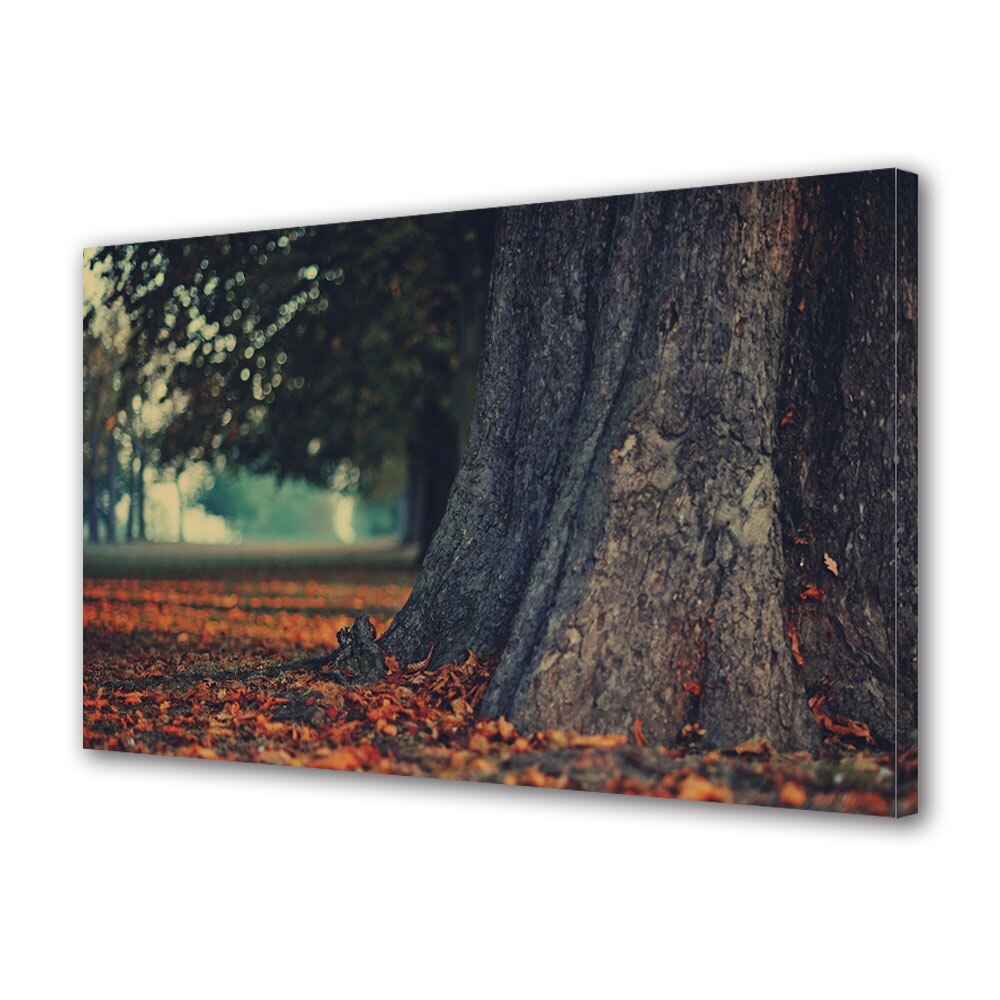 Tablou Canvas Luminos in intuneric VarioView LED, Toamna, Radacini, 30 x 45 cm