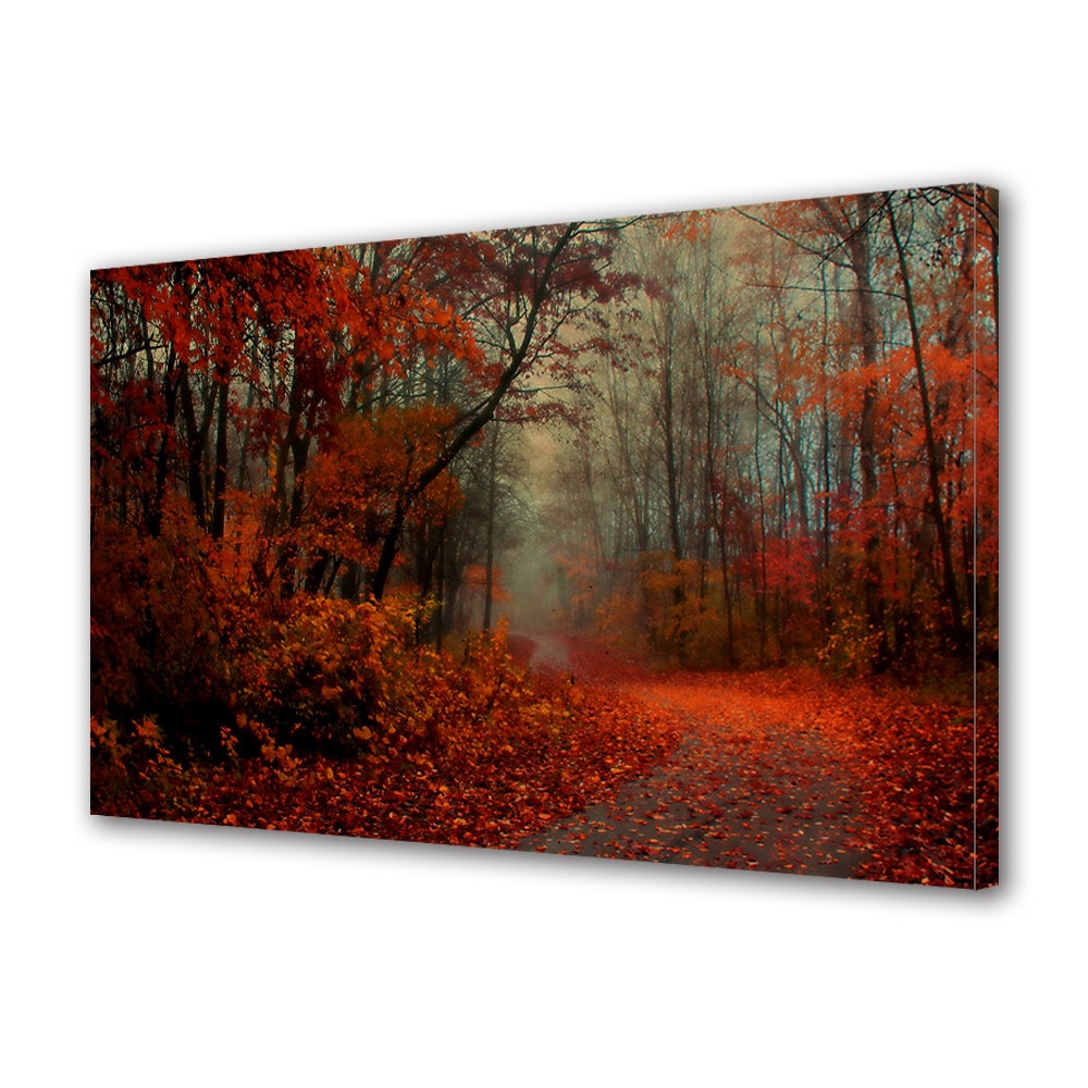 Tablou Canvas Luminos in intuneric VarioView LED, Toamna, Drum neumblat, 30 x 45 cm