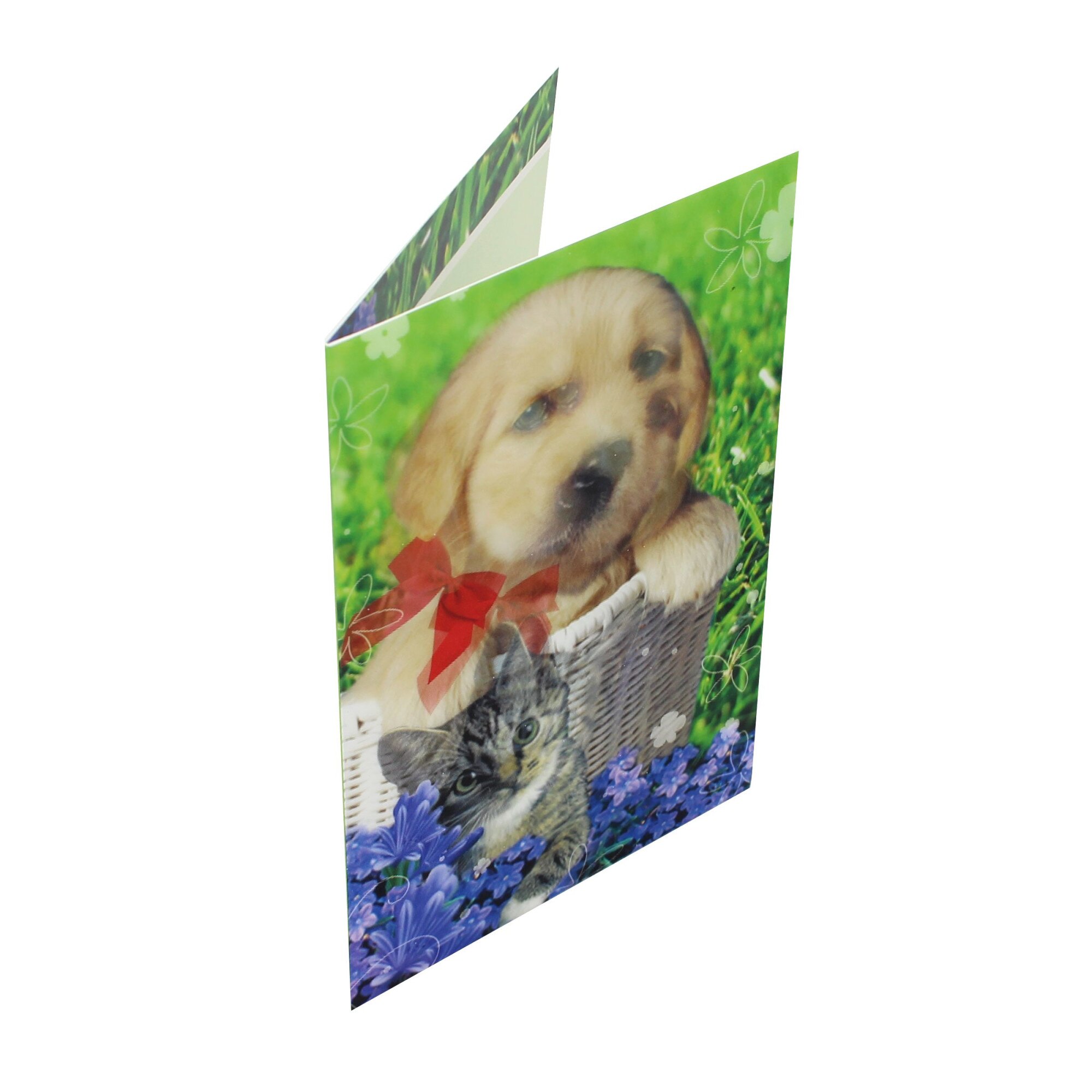 Felicitare 3D Premium Pets