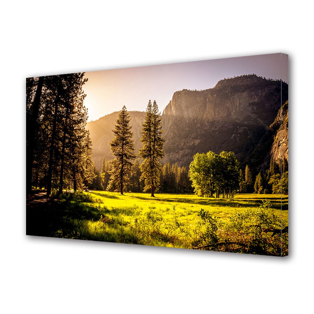 Tablou Canvas Luminos in intuneric VarioView LED, Toamna, Lumina calda in poiana, 30 x 45 cm