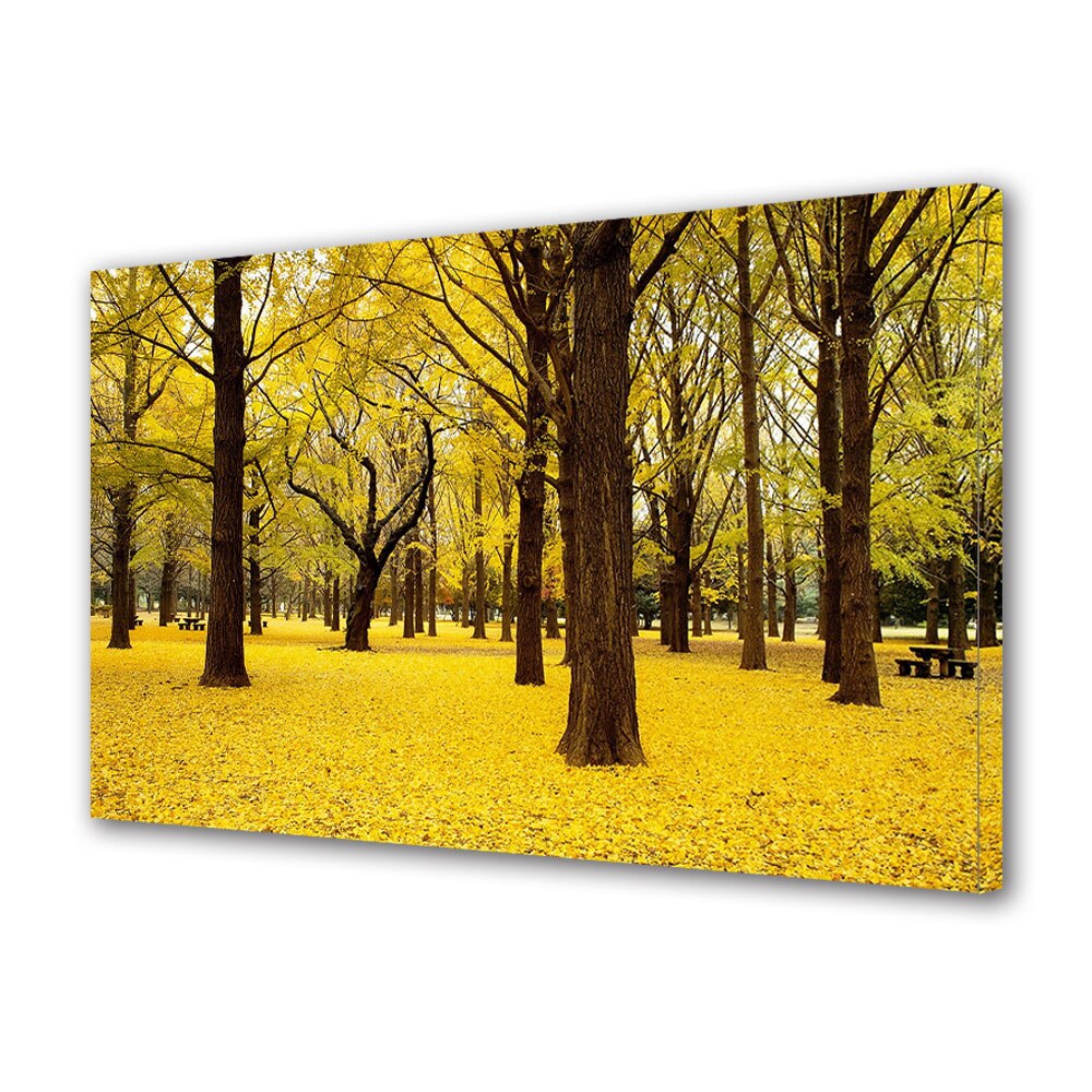 Tablou Canvas Luminos in intuneric VarioView LED, Toamna, Covor galben de frunze in parc, 30 x 45 cm