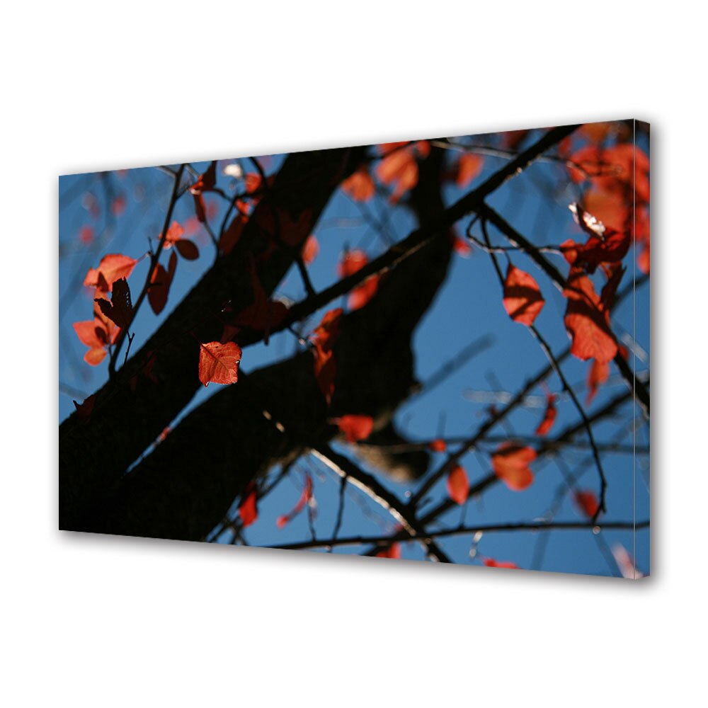 Tablou Canvas Luminos in intuneric VarioView LED, Toamna, Frunze rosii pe cerul albastru, 40 x 60 cm