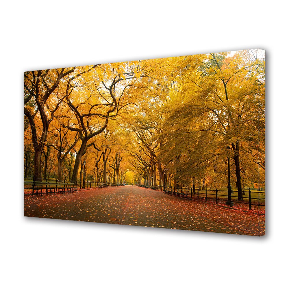 Tablou Canvas Luminos in intuneric VarioView LED, Toamna, Parcul aproape pustiu, 40 x 60 cm