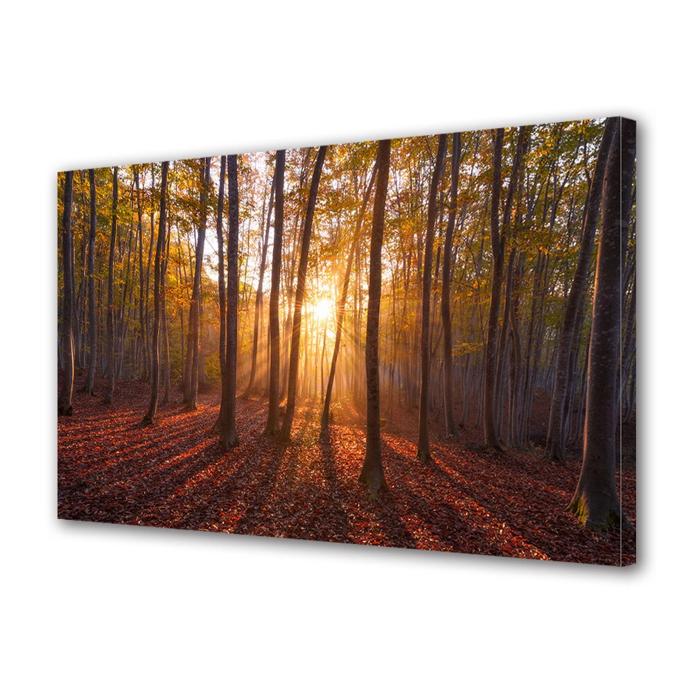 Tablou Canvas Luminos in intuneric VarioView LED, Toamna, Soarele apune printre copaci, 30 x 45 cm