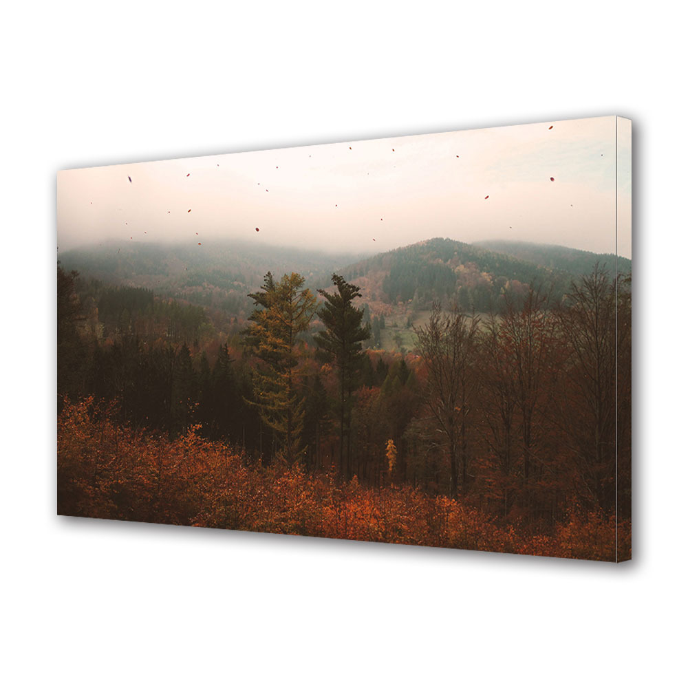 Tablou Canvas Luminos in intuneric VarioView LED, Toamna, Frunze in vant, 40 x 60 cm