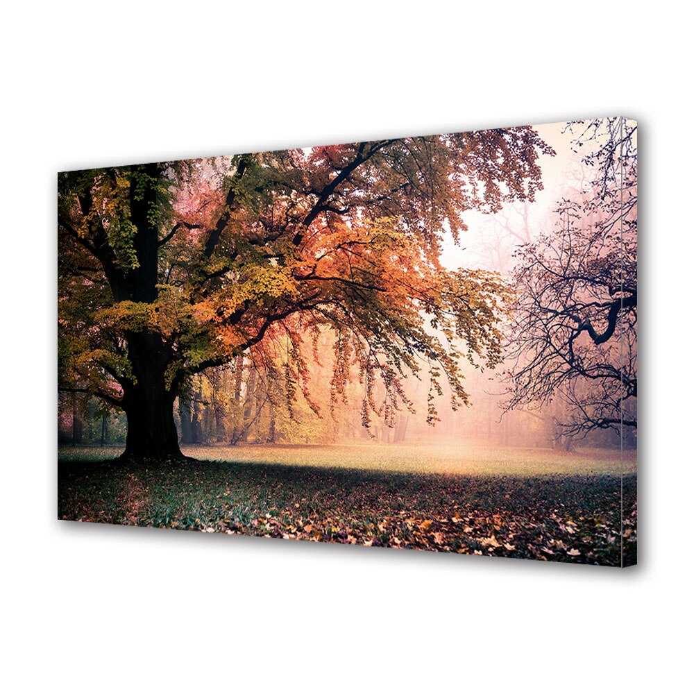 Tablou Canvas Luminos in intuneric VarioView LED, Toamna, Dimineata cu ceata in parc, 30 x 45 cm