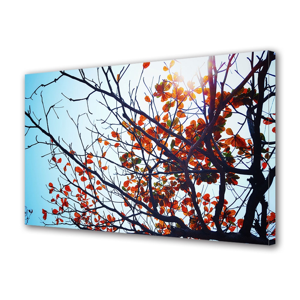 Tablou Canvas Luminos in intuneric VarioView LED, Toamna, Soare de toamna, 40 x 60 cm