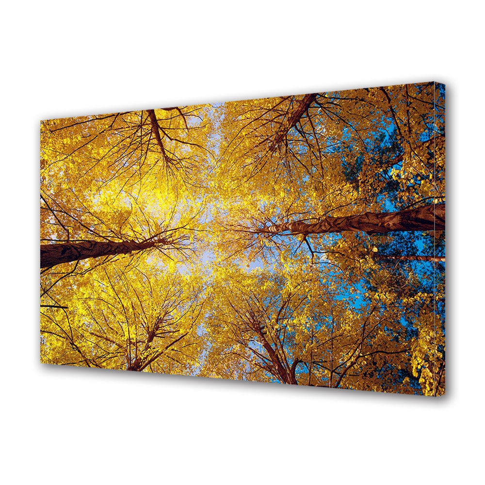 Tablou Canvas Luminos in intuneric VarioView LED, Toamna, Coroane simetrice, 40 x 60 cm