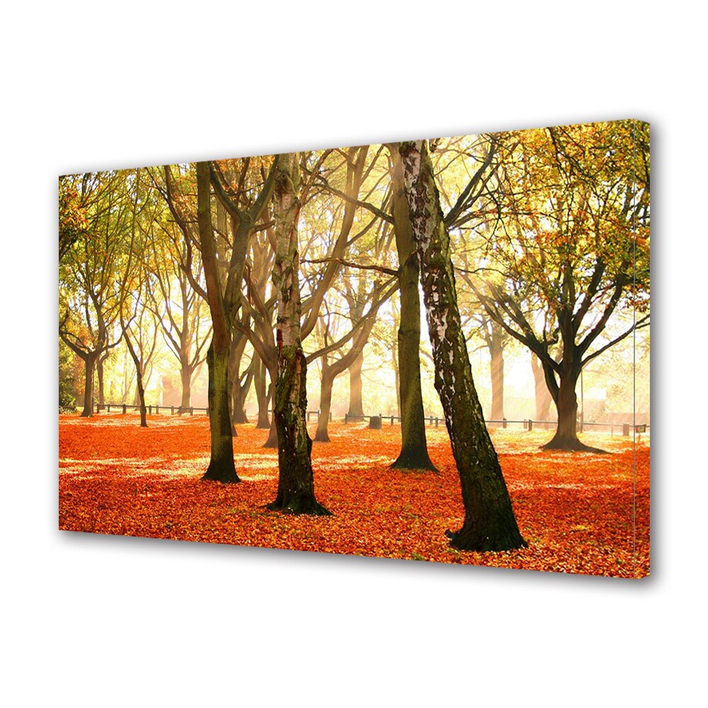 Tablou Canvas Luminos in intuneric VarioView LED, Toamna, Frunze rosii in lumina amiezii, 40 x 60 cm