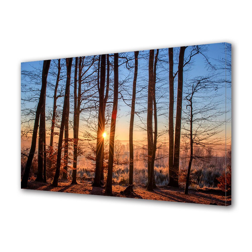 Tablou Canvas Luminos in intuneric VarioView LED, Toamna, Apus rece printre copaci, 30 x 45 cm