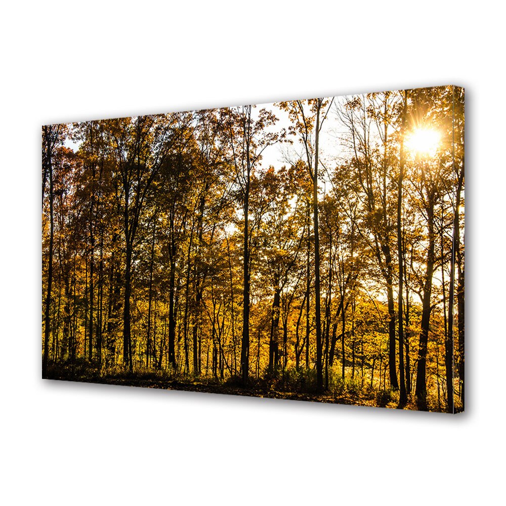 Tablou Canvas Luminos in intuneric VarioView LED, Toamna, Palc luminat de copaci, 40 x 60 cm
