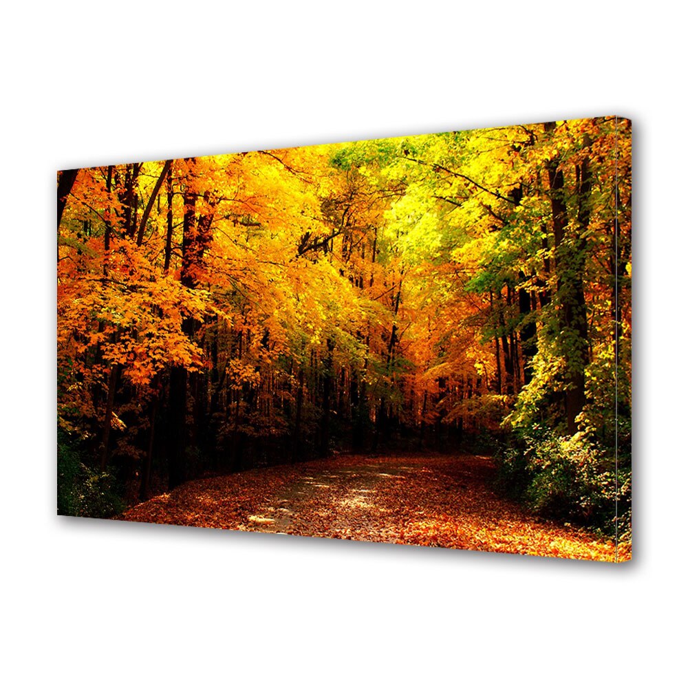 Tablou Canvas Luminos in intuneric VarioView LED, Toamna, Carare colorata, 40 x 60 cm