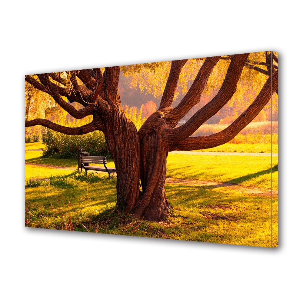 Tablou Canvas Luminos in intuneric VarioView LED, Toamna, Copacii gemeni, 40 x 60 cm