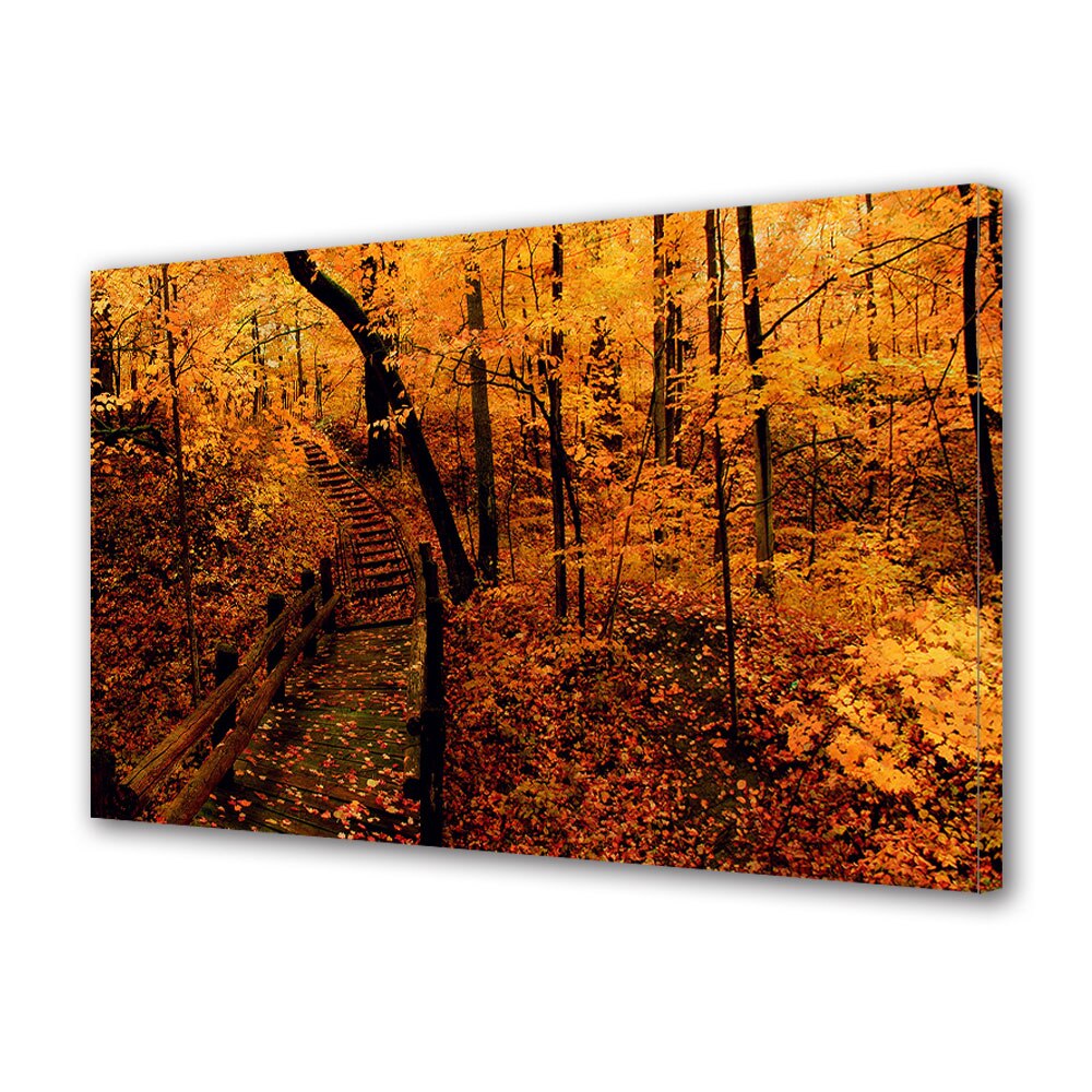 Tablou Canvas Luminos in intuneric VarioView LED, Toamna, Trepte spre inima padurii, 30 x 45 cm