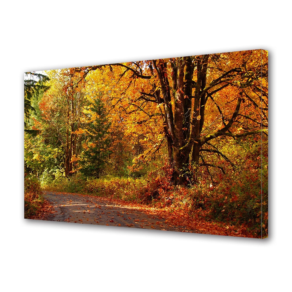 Tablou Canvas Luminos in intuneric VarioView LED, Toamna, Natura in culori minunate, 30 x 45 cm