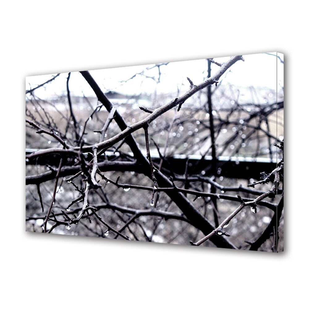 Tablou Canvas Luminos in intuneric VarioView LED, Toamna, Crengi uscate dupa ploaie, 30 x 45 cm