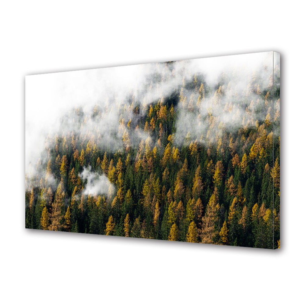 Tablou Canvas Luminos in intuneric VarioView LED, Toamna, Nori si padure de brazi, 30 x 45 cm