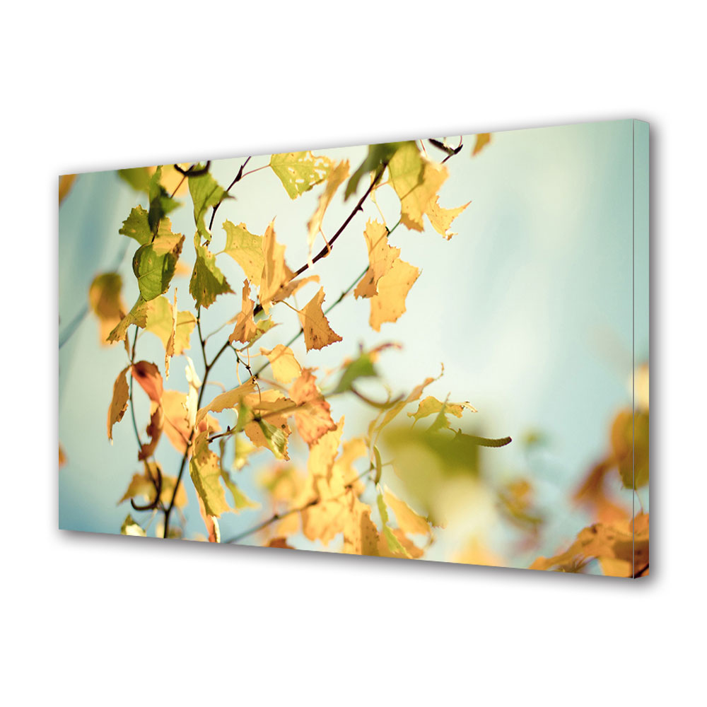 Tablou Canvas Luminos in intuneric VarioView LED, Toamna, Culori calde de toamna, 30 x 45 cm