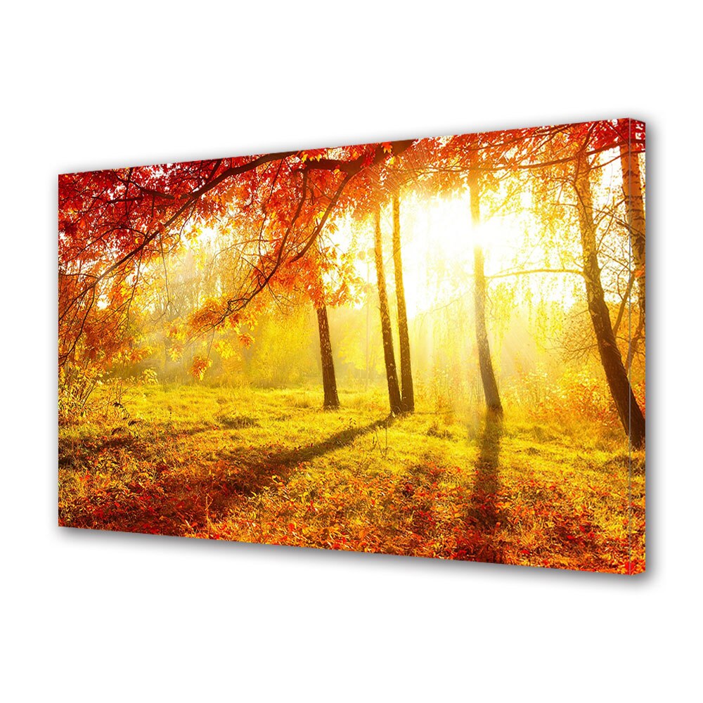 Tablou Canvas Luminos in intuneric VarioView LED, Toamna, Lumina puternica a diminetii, 40 x 60 cm