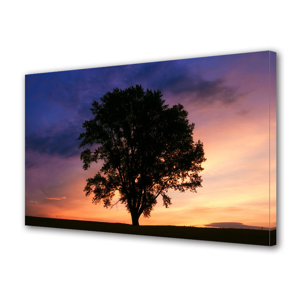 Tablou Canvas Luminos in intuneric VarioView LED, Toamna, Copac impunator la apus, 30 x 45 cm