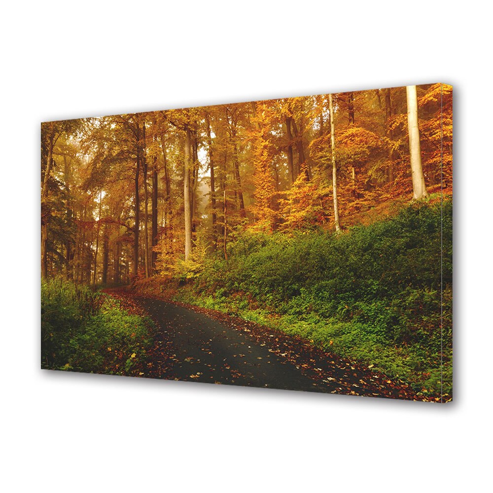 Tablou Canvas Luminos in intuneric VarioView LED, Toamna, Sosea acoperita cu frunze , 30 x 45 cm