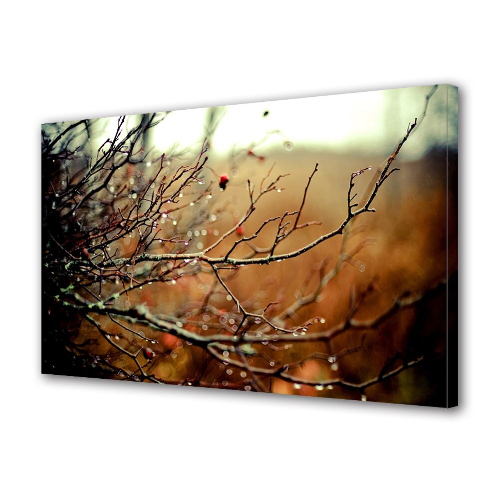 Tablou Canvas Luminos in intuneric VarioView LED, Toamna, Ramuri umede, 30 x 45 cm