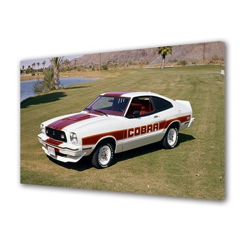 Tablou Canvas Luminos in intuneric VarioView LED, Auto Moto, Ford Mustang Cobra II 1978, 30 x 45 cm Tablou Canvas Luminos in intuneric VarioView LED, Auto Moto, Ford Mustang Cobra II 1978, 30 x 45 cm