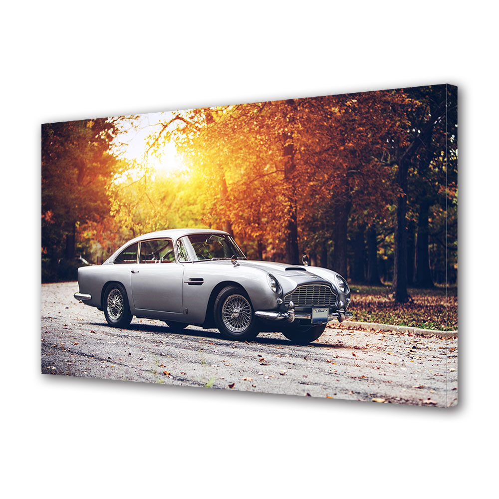 Tablou Canvas Luminos in intuneric VarioView LED, Auto Moto, Aston Martin Superb, 40 x 60 cm
