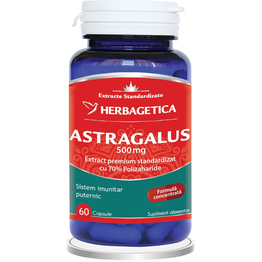 Supliment Alimentar Astragalus 500 MG Extract Premium cu 70% Polizaharide, 60 capsule