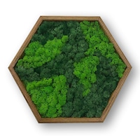 Tablou hexagonal cu licheni stabilizati, muschi naturali LoveLasy, rama lemn, 40 x 35 cm, Verde deschis/Verde inchis
