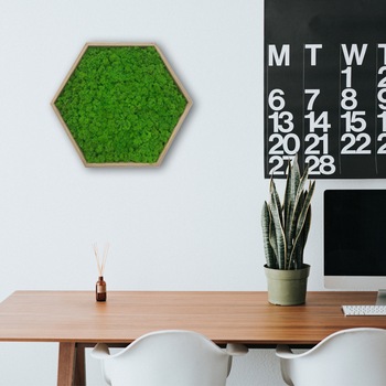 Tablou hexagonal cu licheni stabilizati, muschi naturali, LoveLasy, Rama lemn, 30 x 26 cm, Verde deschis Tablou hexagonal cu licheni stabilizati, muschi naturali, LoveLasy, Rama lemn, 30 x 26 cm, Verde deschis