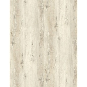 Parchet si pardoseli