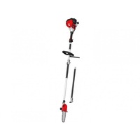 motofierastrau de taiat crengi la inaltime grizzly bks 25 l imagen 10_0_
0