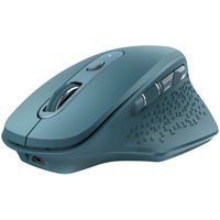 Mouse wireless Trust Ozaa, ergonomic, dual scroll, reincarcabil, Albastru