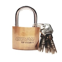 Lacat Gama Profesionala 50 mm