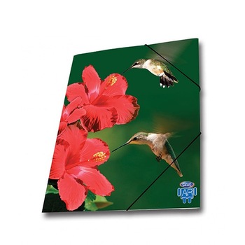Mapa AR carton cu elastic Skag, 25 x 35 wild animals, colibri Mapa AR carton cu elastic Skag, 25 x 35 wild animals, colibri