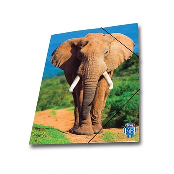 Mapa AR carton cu elastic Skag, 25 x 35 wild animals, elefant Mapa AR carton cu elastic Skag, 25 x 35 wild animals, elefant