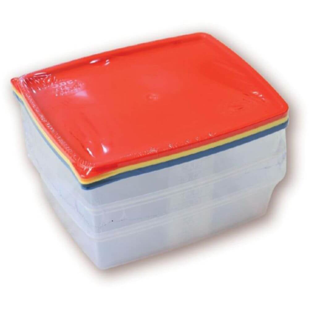 Set 6 Caserole Alimentare, Plastic Transparent cu Capace Asortate