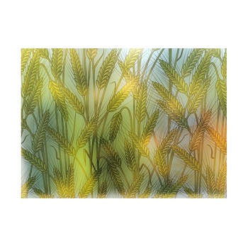 Folie decorativa pentru geam autoadeziva spice de grau, 8 m x 1 m Folie decorativa pentru geam autoadeziva spice de grau, 8 m x 1 m