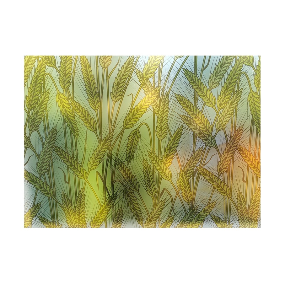 Folie decorativa pentru geam autoadeziva spice de grau, 6 m x 1 m