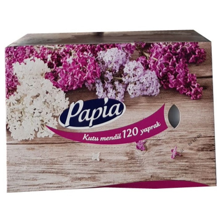 Почистващи кърпички PAPIA, 2 слоя, 120 броя, 16 x 21 см, Бял