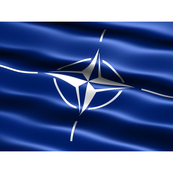 Steag NATO Vision poliester, format mare 120x80cm